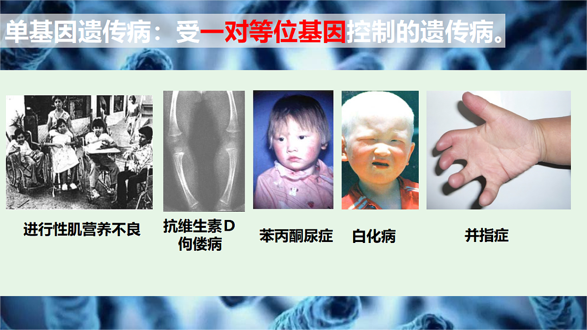 17725762第7页
