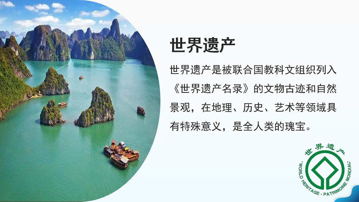 17725861第5页
