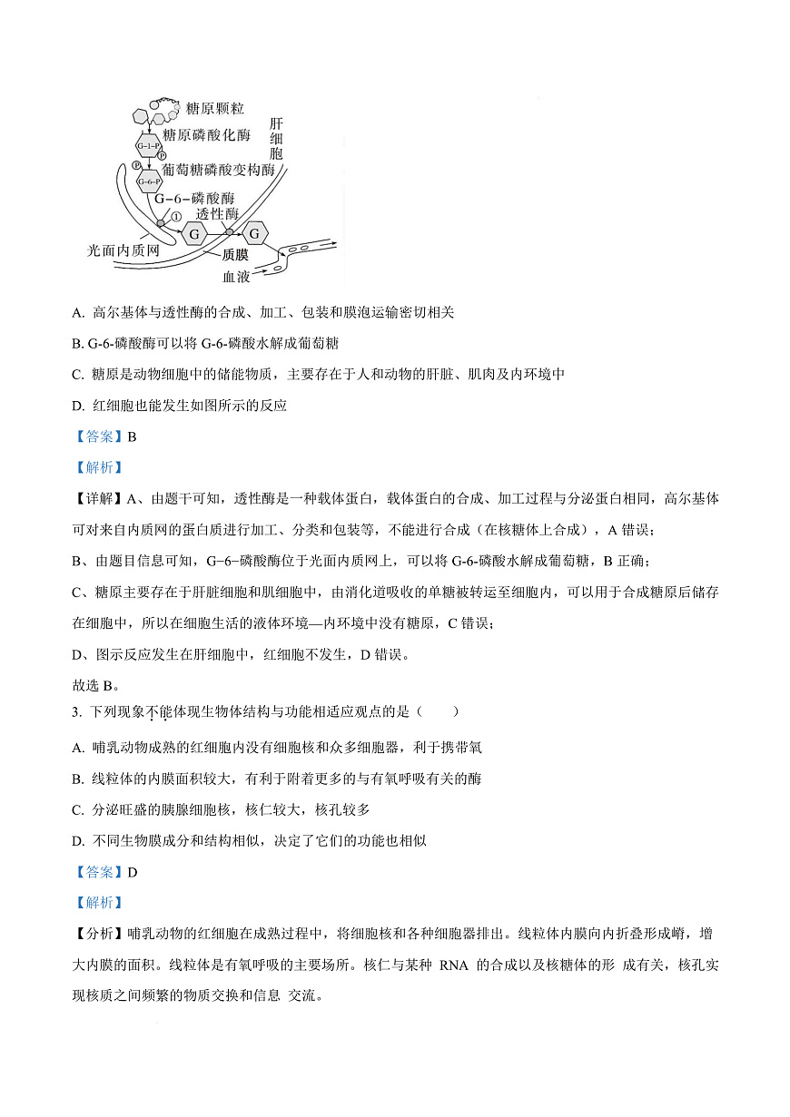 四川省成都市成华区某校2026届高三上学期12月一诊模拟生物试题 Word版含解析第3页