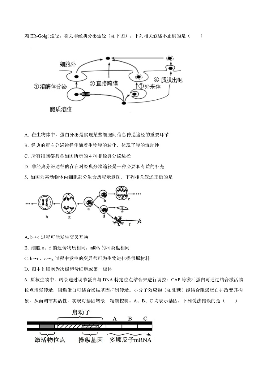 四川省成都市成华区某校2026届高三上学期12月一诊模拟生物试题（原卷版）第3页