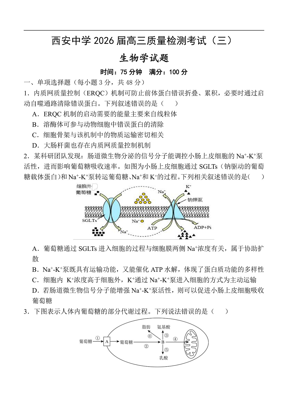 陕西省西安中学2025-2026学年高三上学期质量检测生物试卷（三）第1页