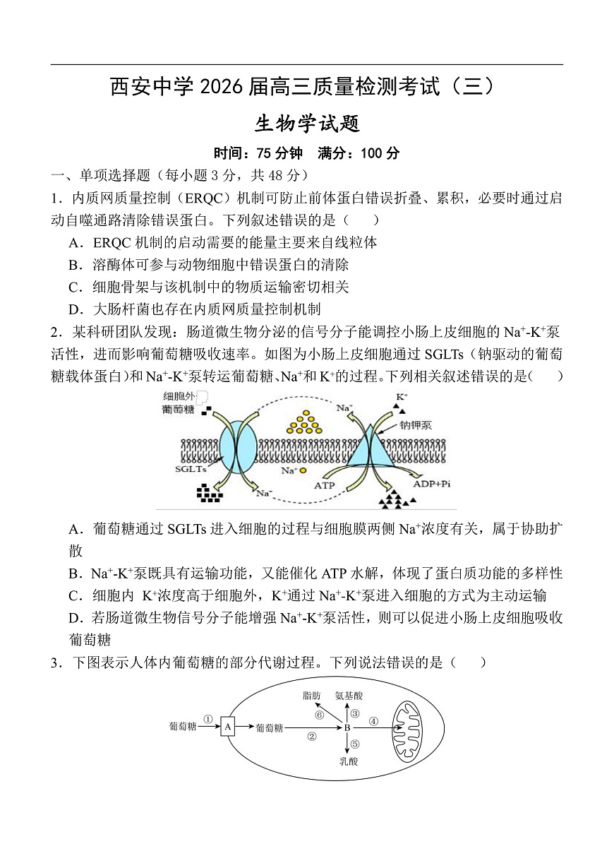 陕西省西安中学2025-2026学年高三上学期质量检测生物试卷（三）第1页