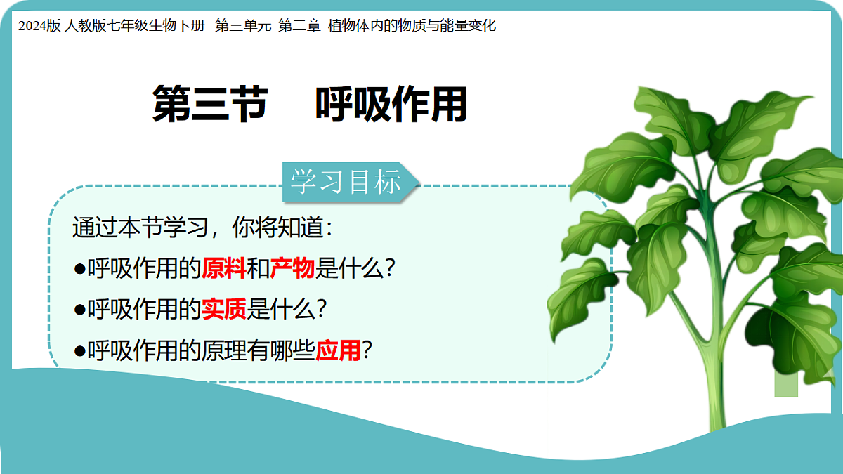 17726085第2页