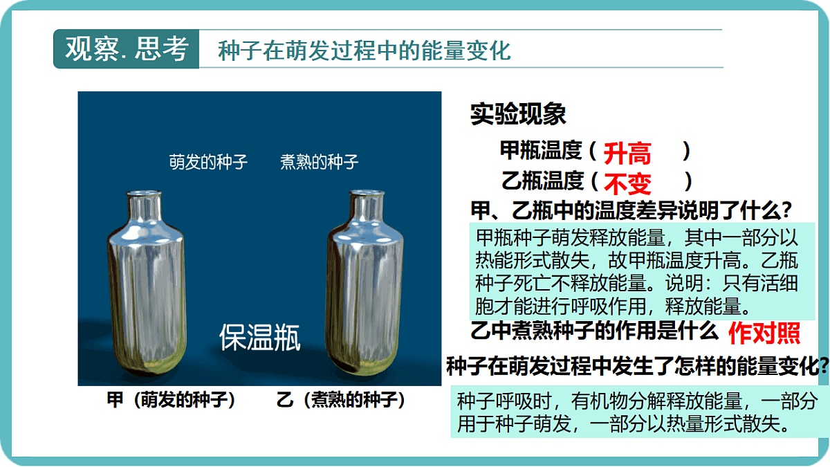 17726085第3页