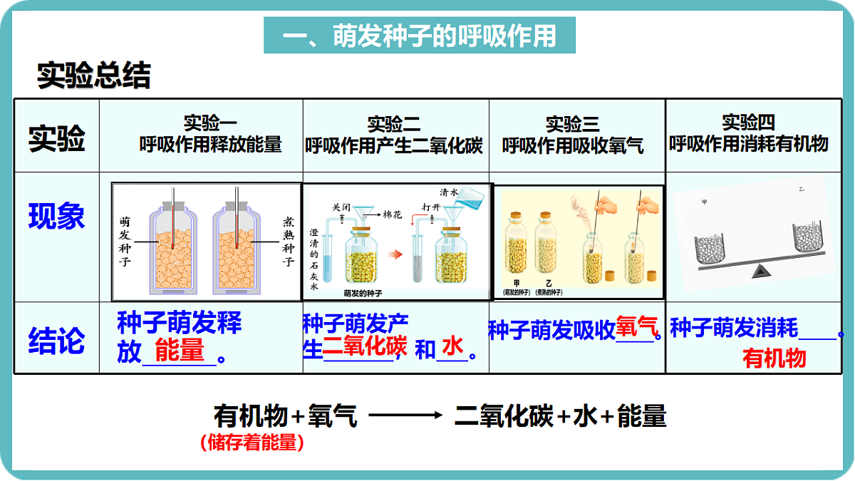 17726085第7页