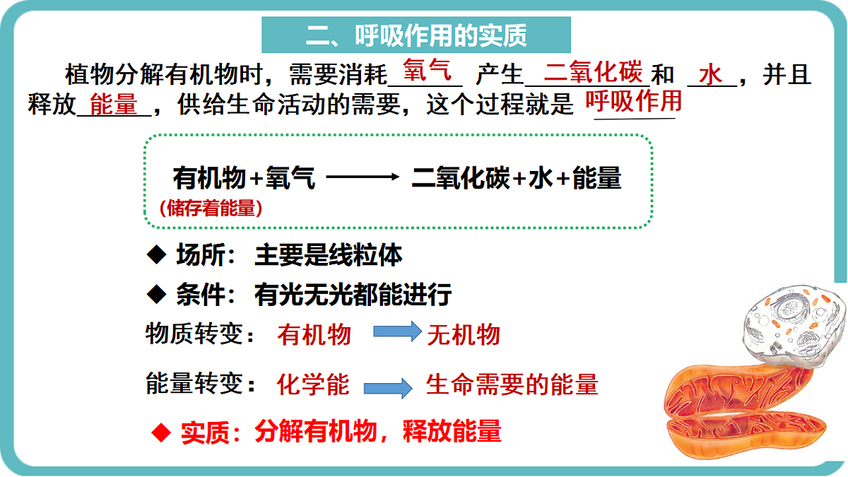 17726085第8页