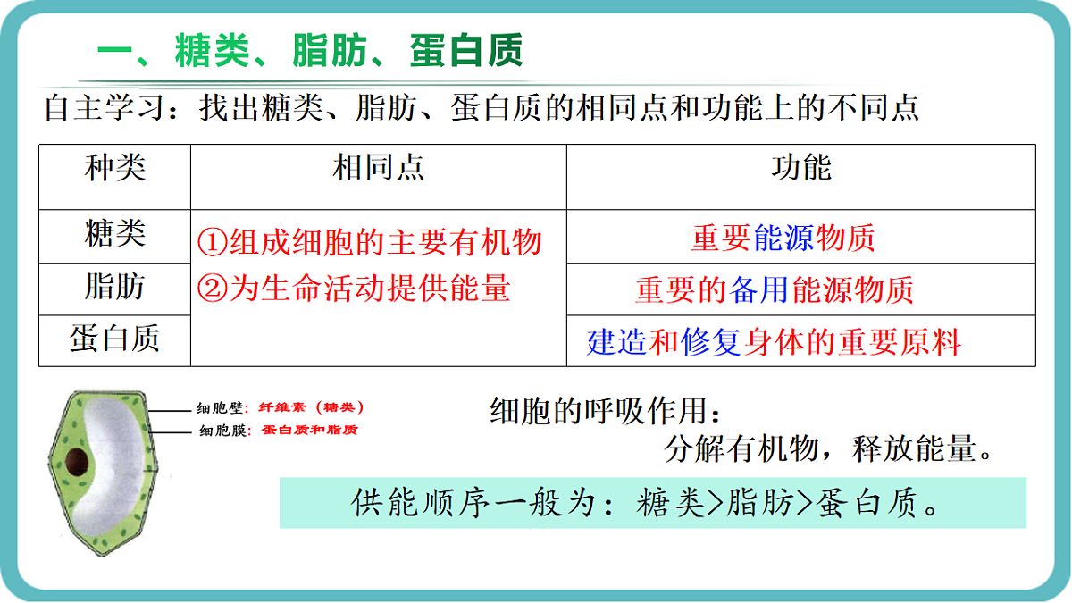 17726089第5页