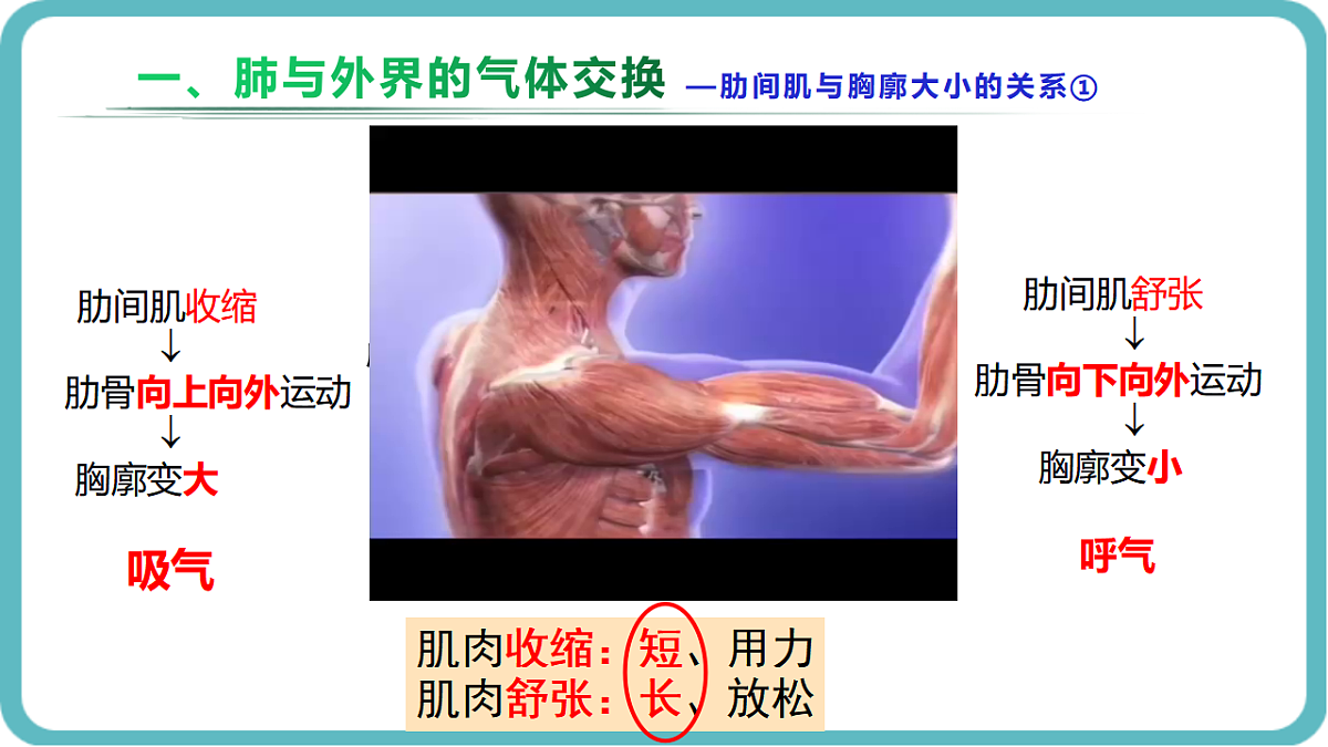 17726092第6页