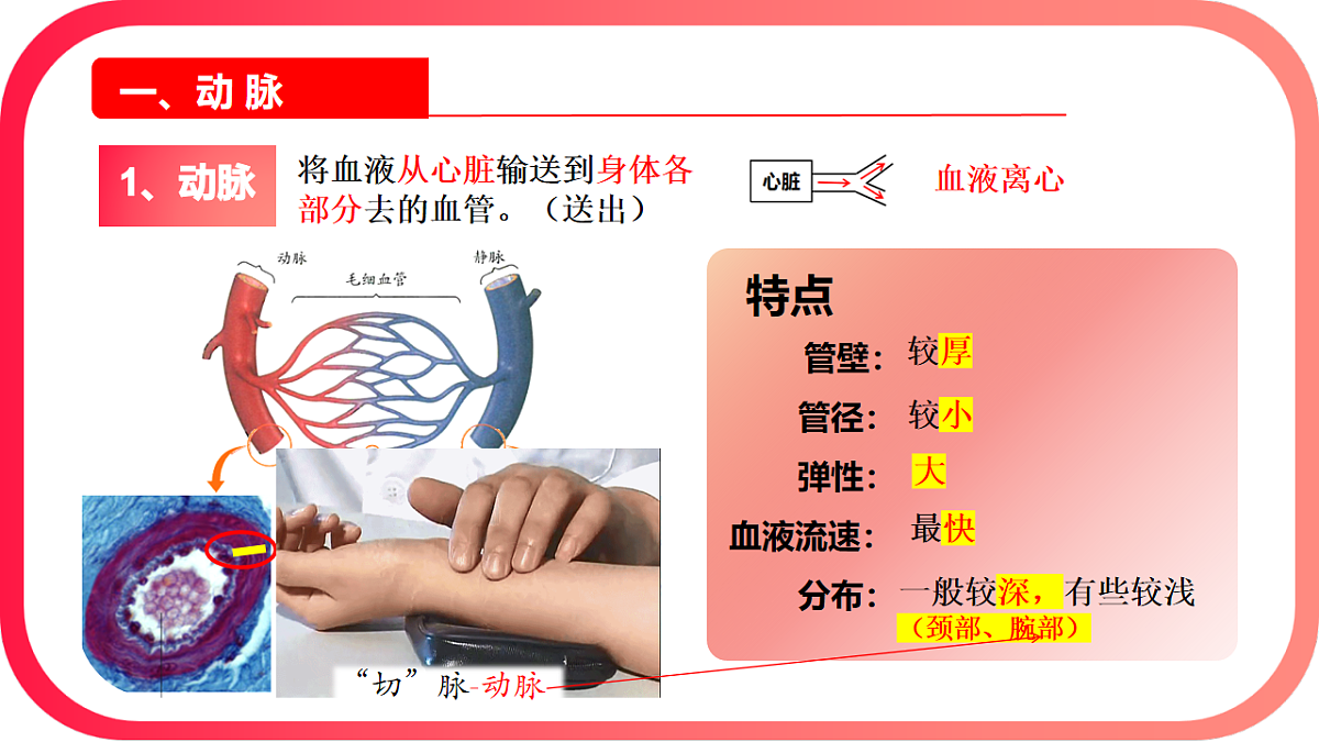 17726094第7页