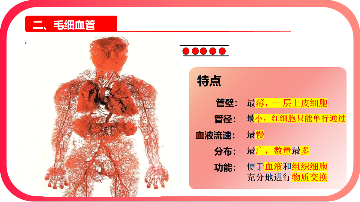 17726094第8页