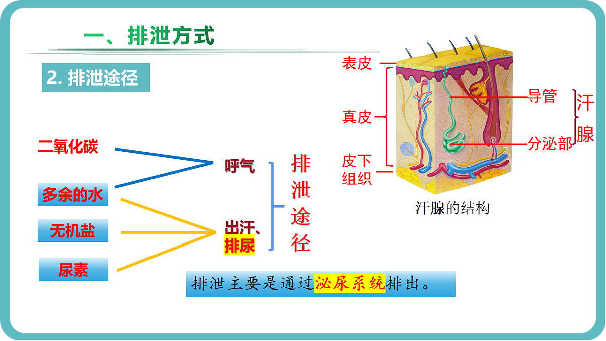 17726097第4页