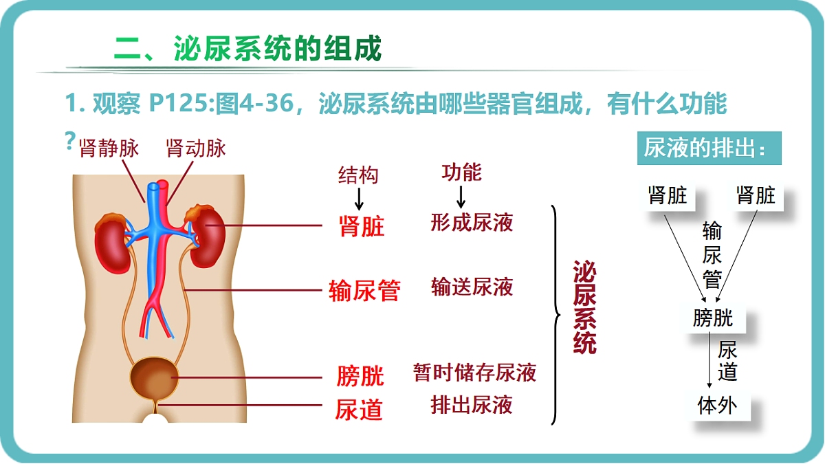 17726097第5页
