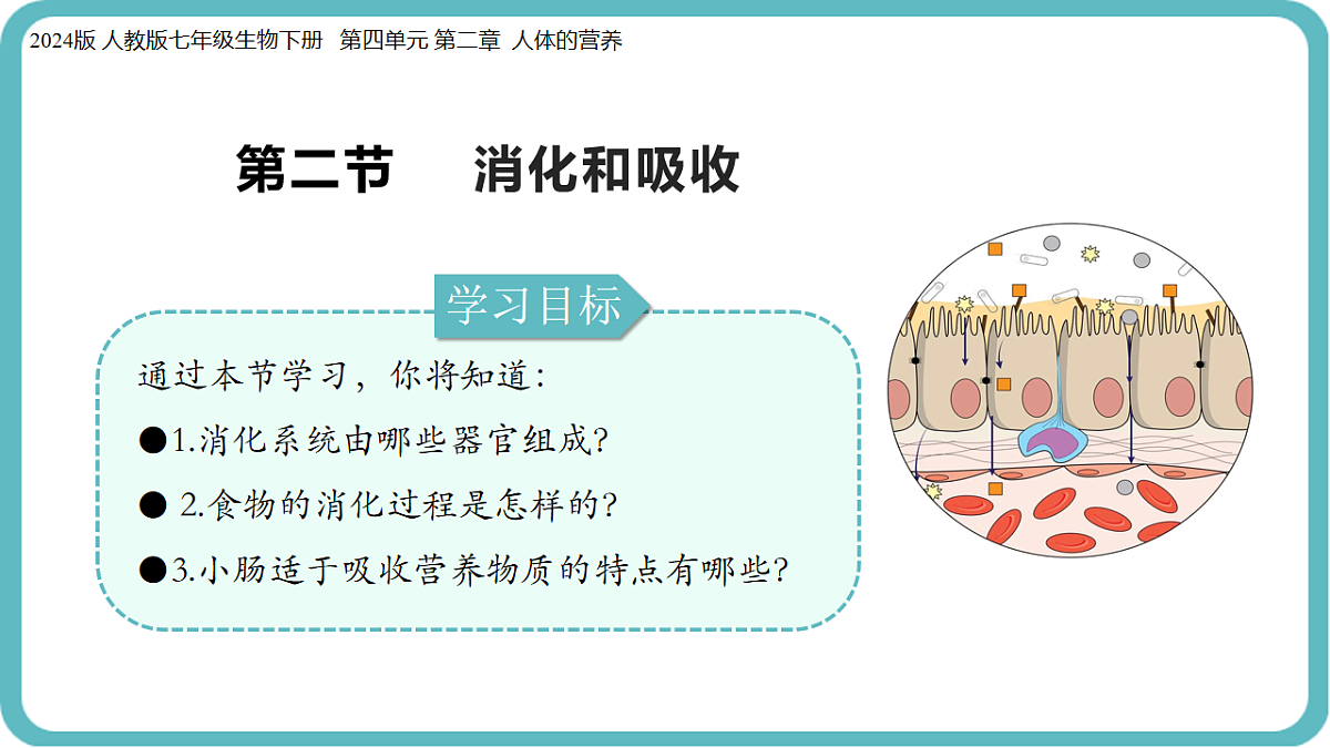17726151第2页