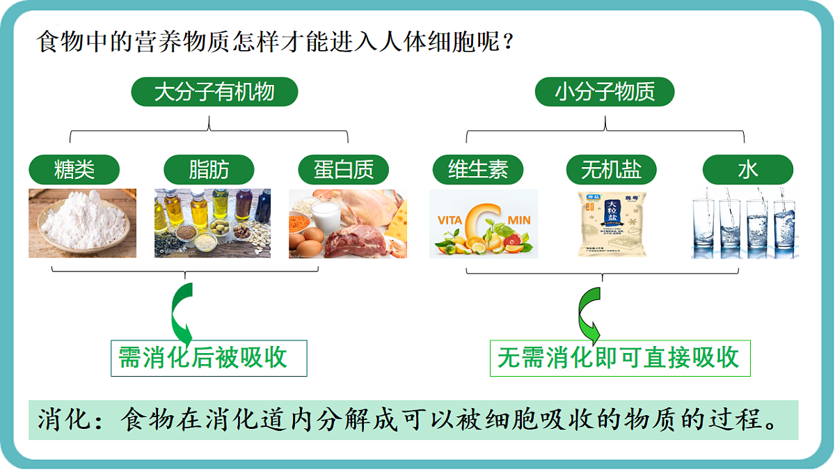 17726151第3页