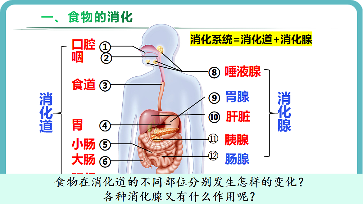 17726151第4页