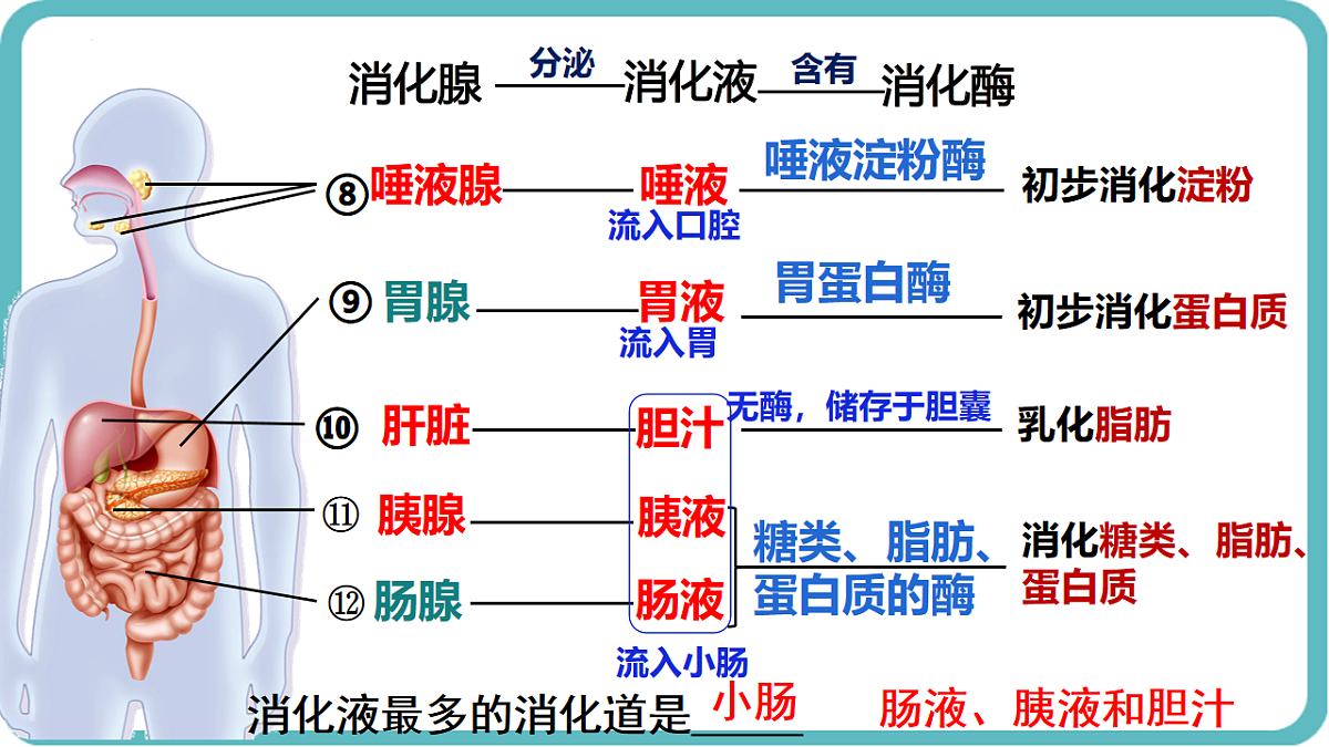 17726151第6页