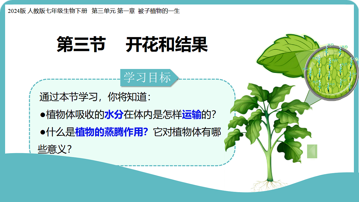 17726152第2页
