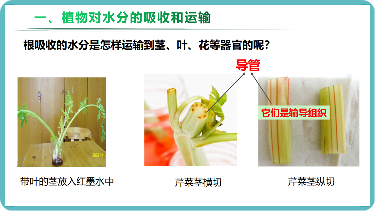 17726152第4页
