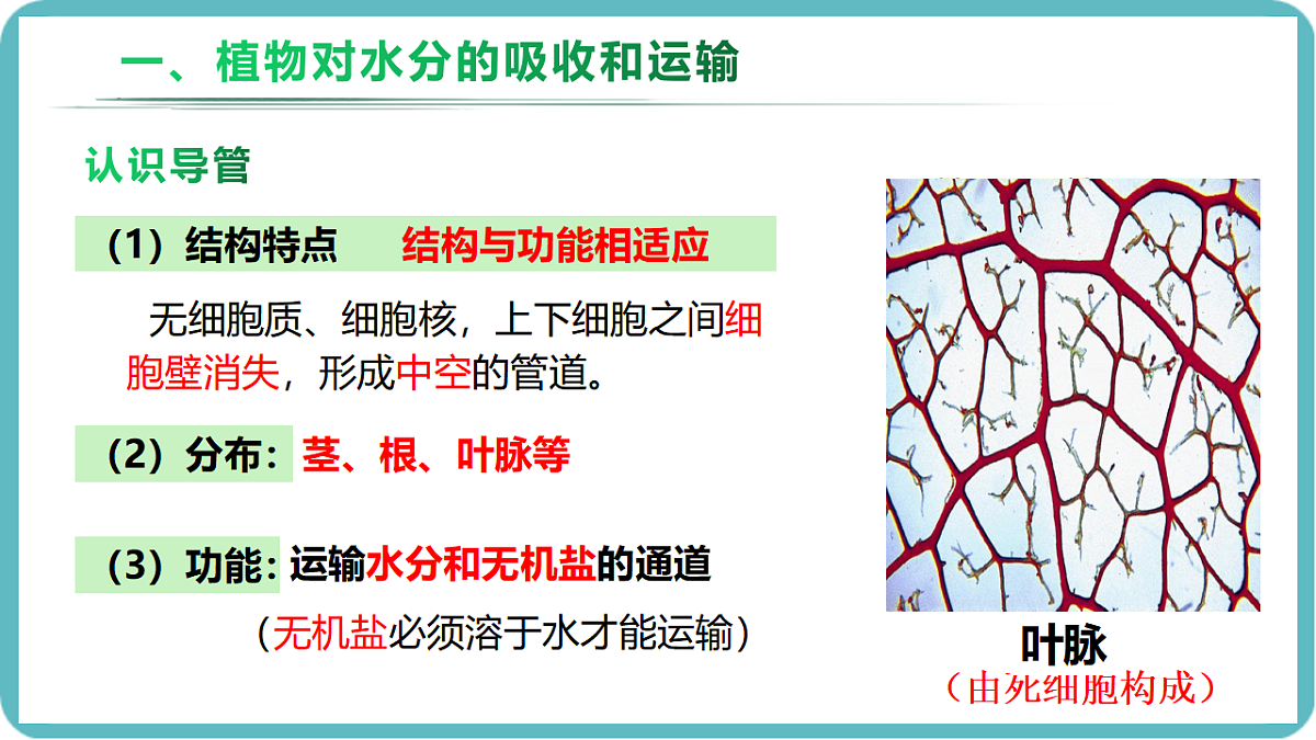 17726152第5页