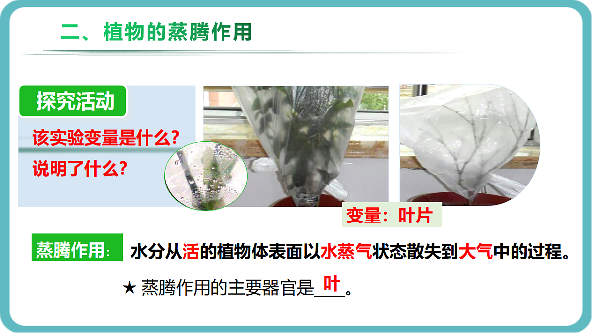17726152第7页