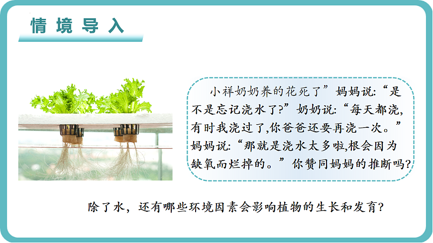 17726153第1页
