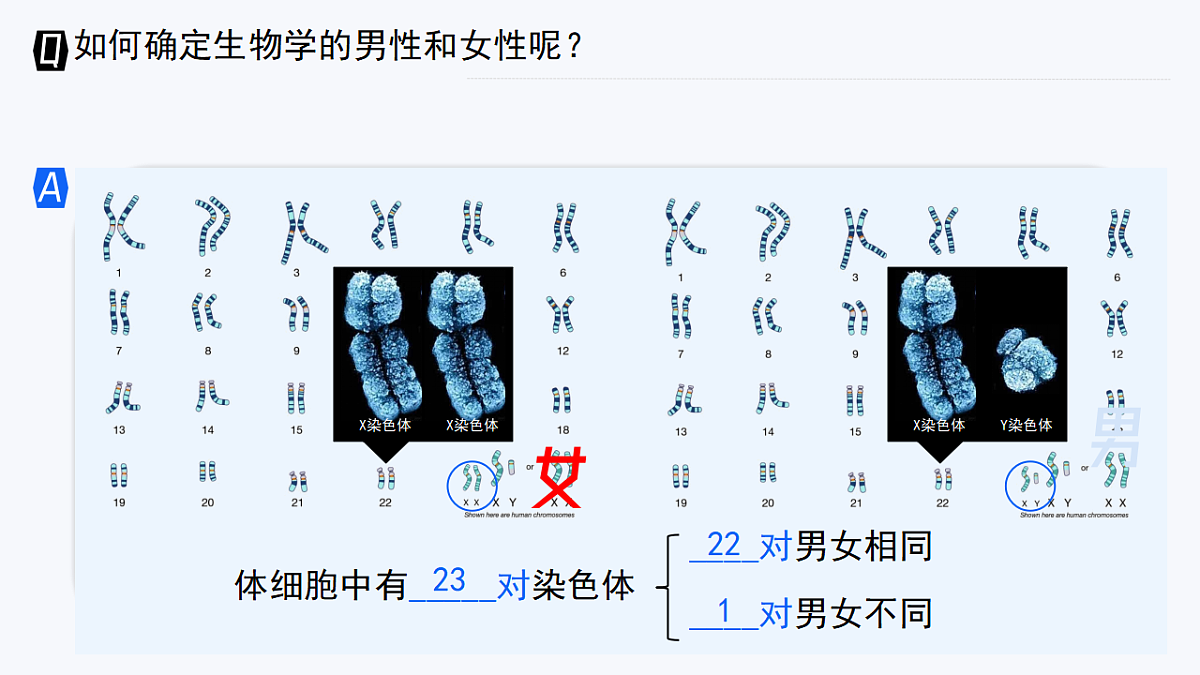 17727075第3页