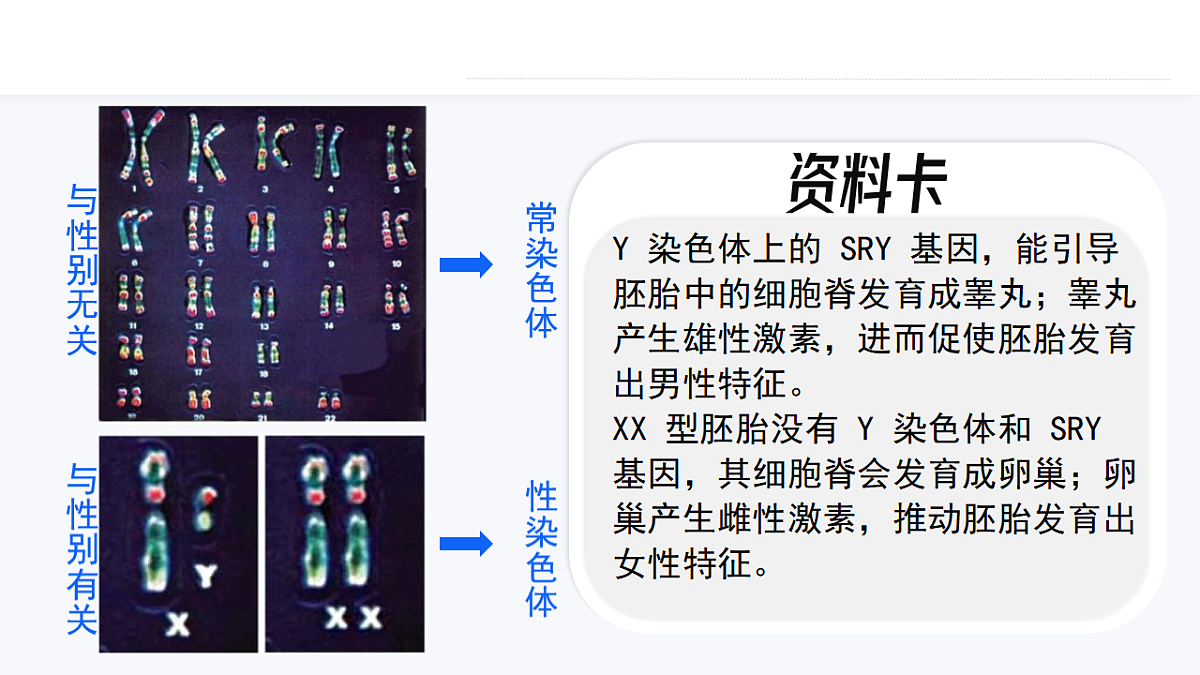 17727075第4页