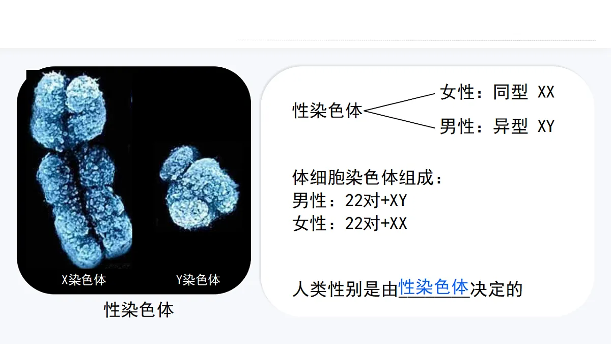 17727075第5页
