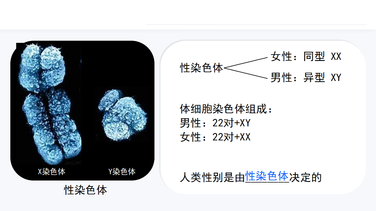 17727075第5页