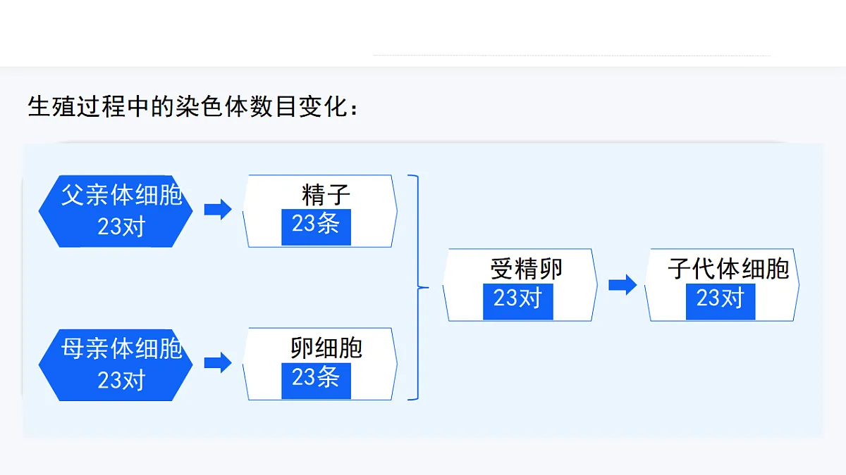 17727075第6页