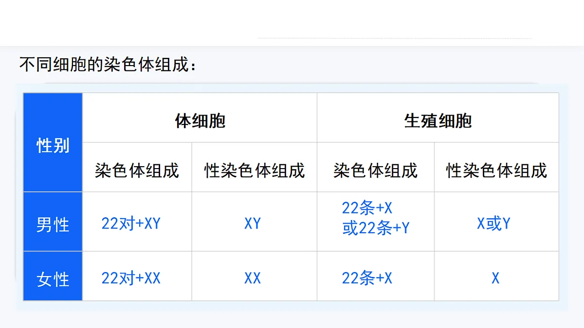 17727075第7页