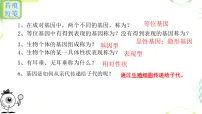 生物八年级上册（2024）性别和性别决定课文内容ppt课件