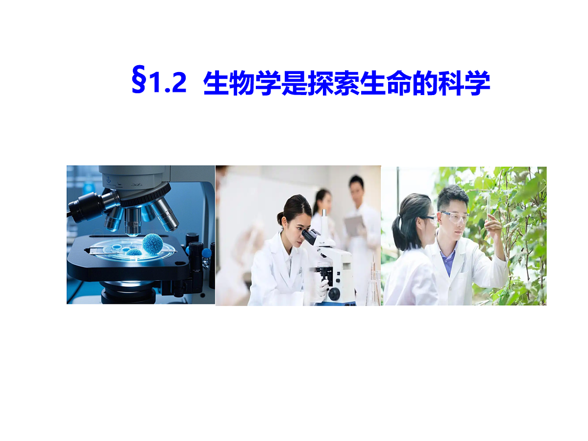 17728479第1页
