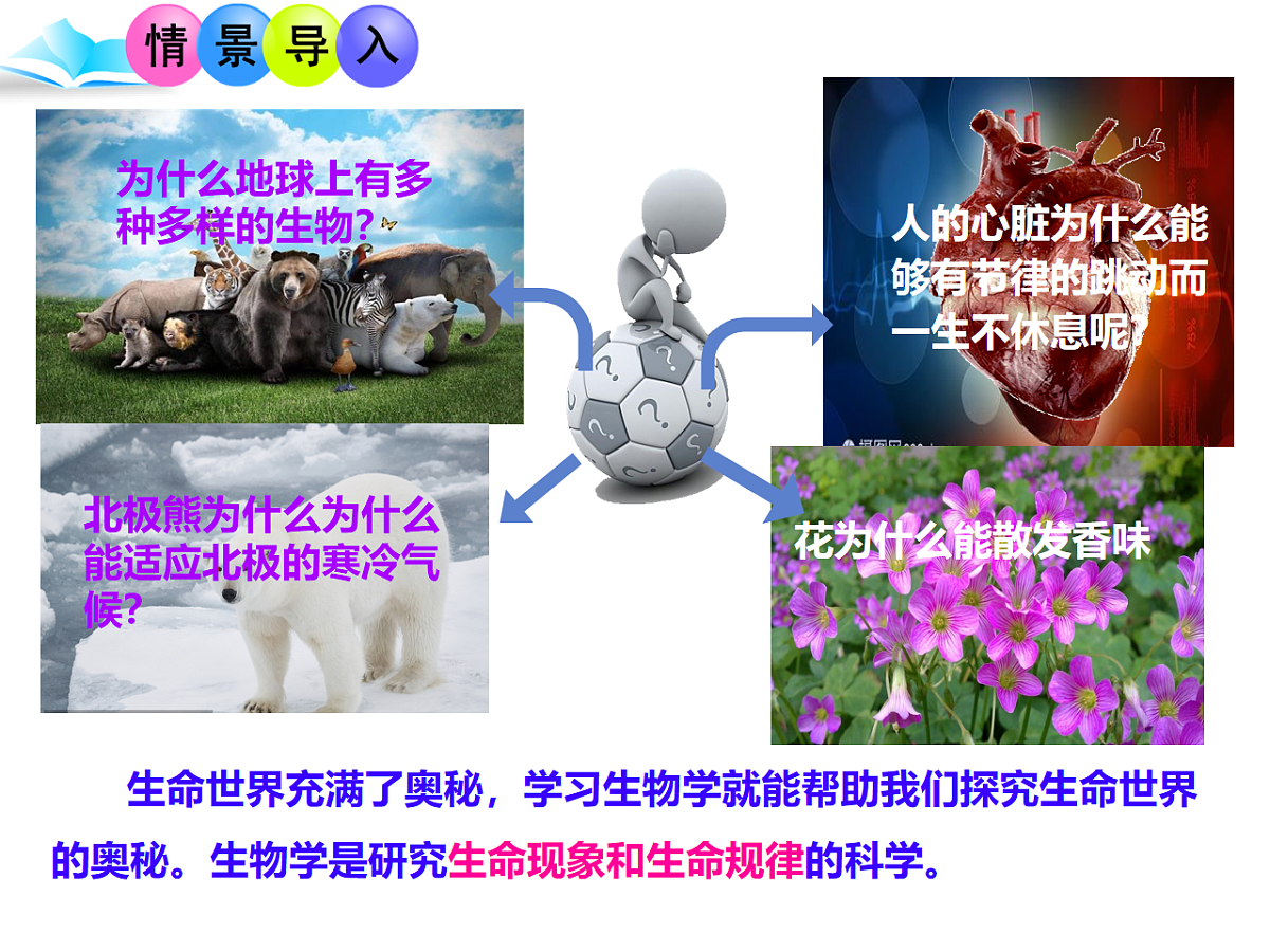17728479第2页