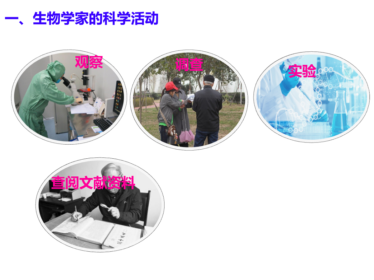 17728479第3页