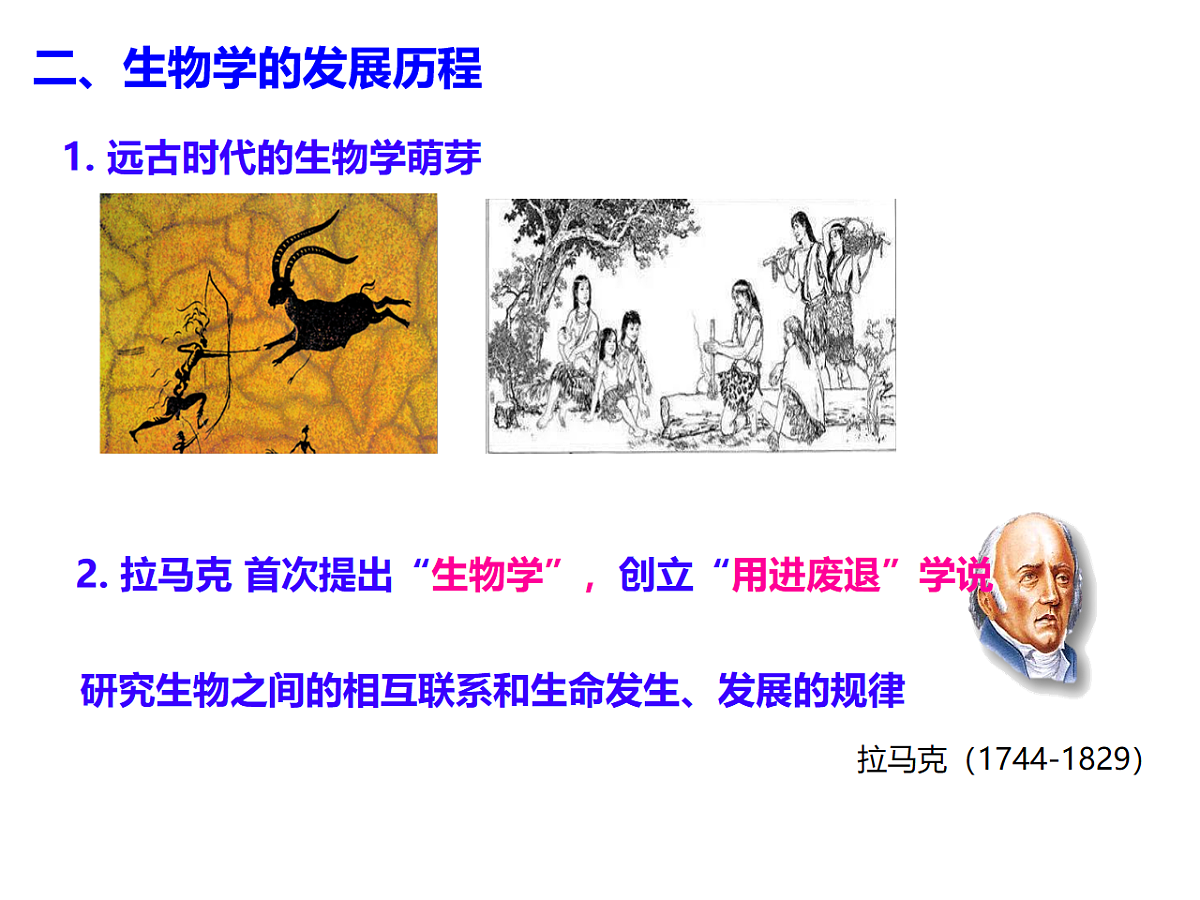 17728479第4页