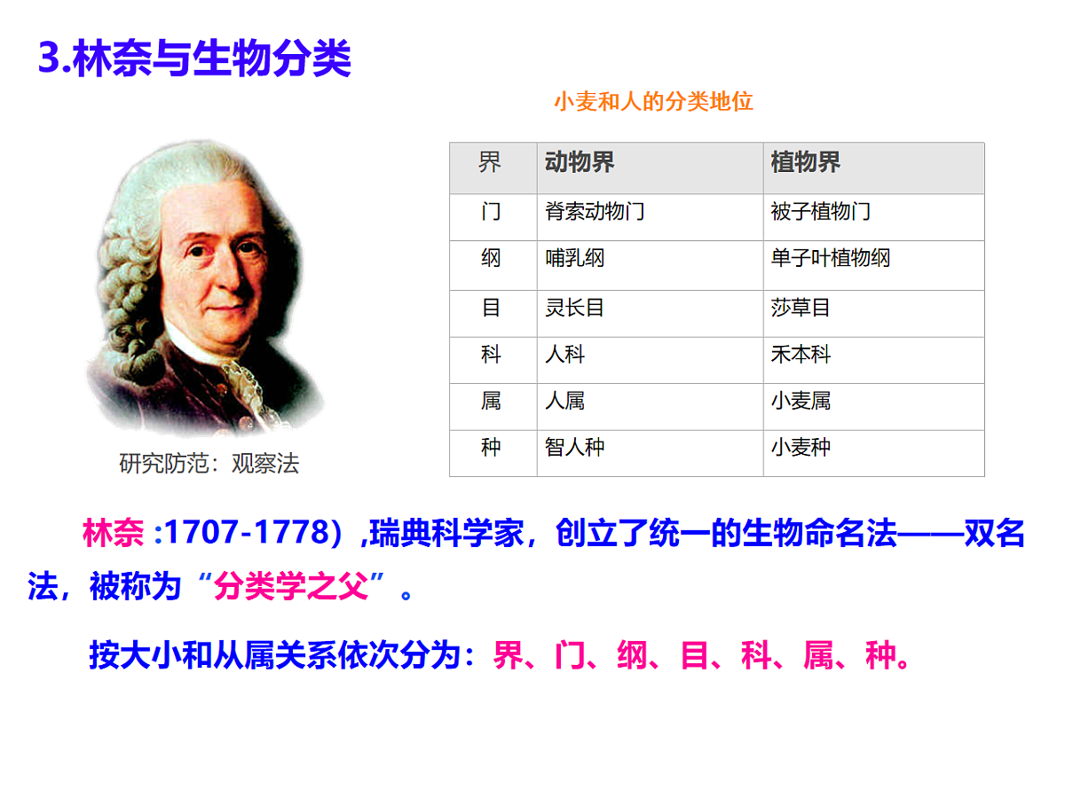 17728479第5页