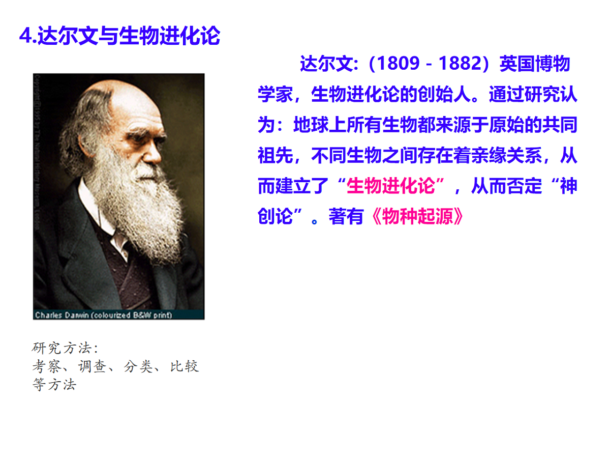 17728479第6页