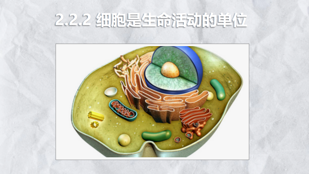 17729084第1页
