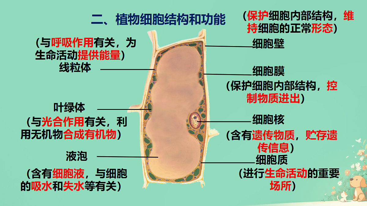 17729084第2页