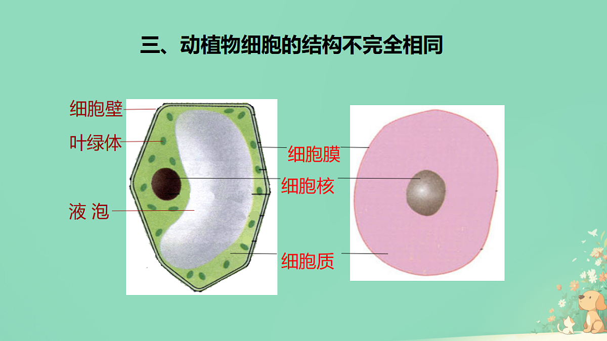 17729084第3页