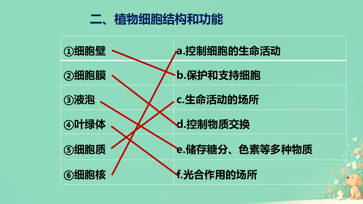 17729084第4页