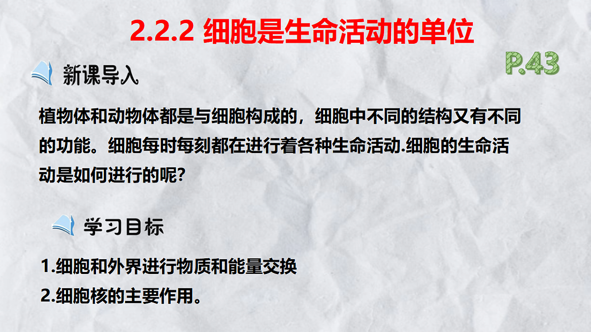 17729084第5页