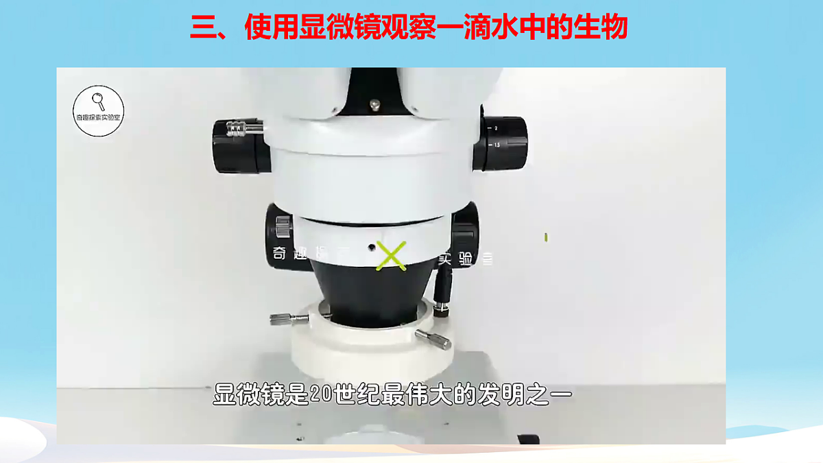 17729084第6页