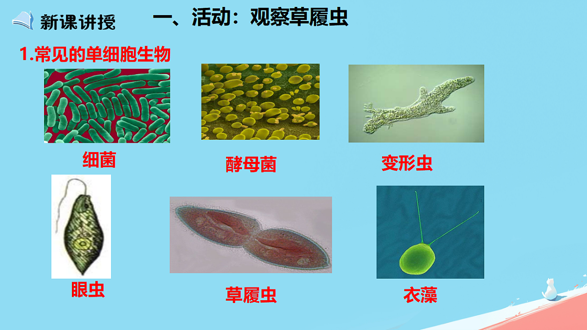 17729084第7页