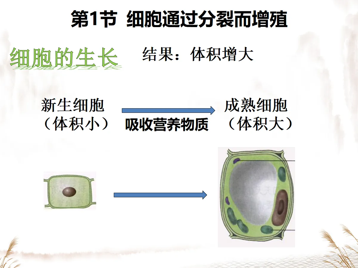 17729145第2页