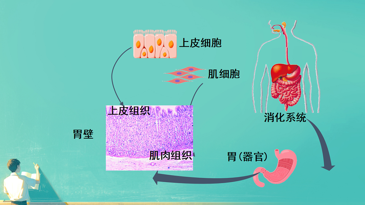 17729147第2页