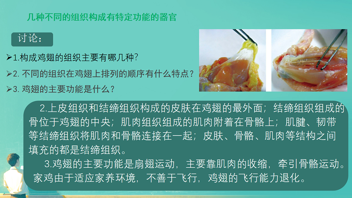 17729147第4页