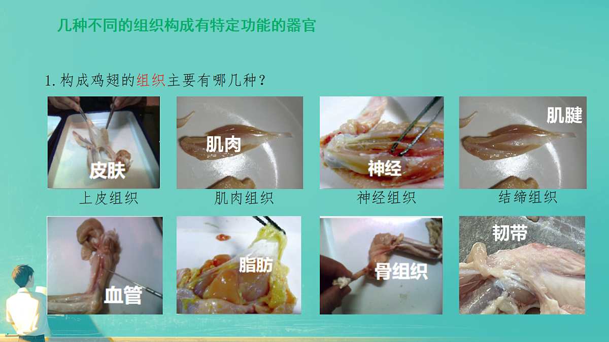 17729147第5页