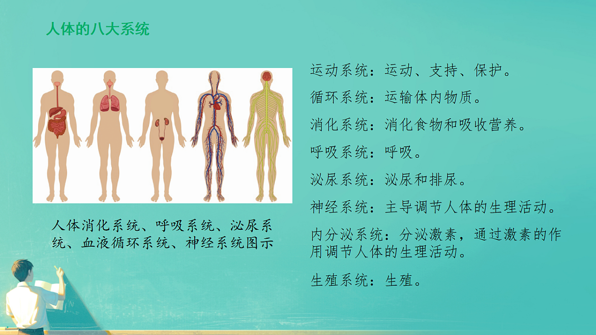 17729147第7页